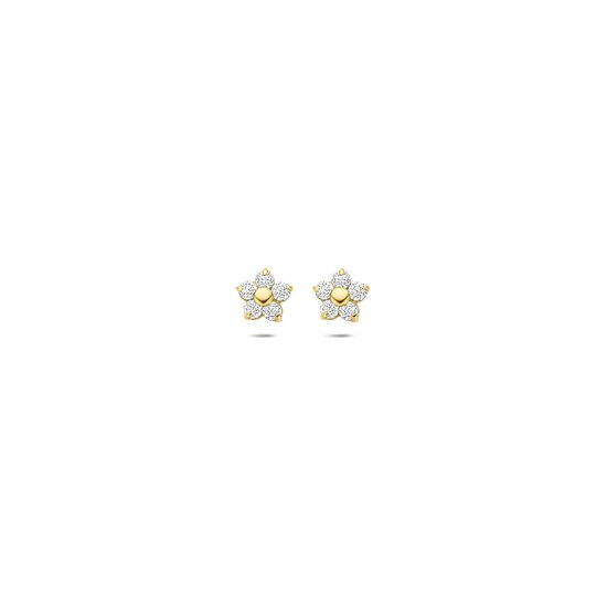 SPARKLE14 - Boucles d'oreille clous Fleur et Zircone - Or