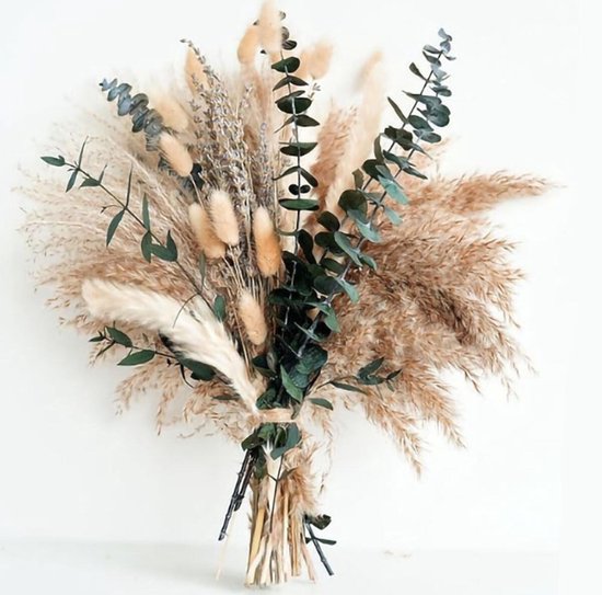 CANIPHA 850 stuks Mini gedroogde bloemen voor hars, natuurlijke echte kleine gedroogde bloemen voor harshandwerk, kleurrijke droge bloemen voor hars, kleine gedroogde bloemen, MA0674