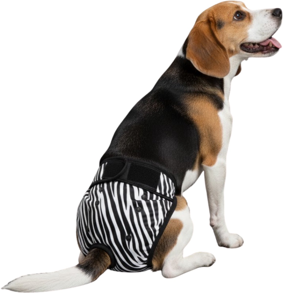 Loopsheidbroekje hond - zebra - maat L - voor grotere honden - herbruikbaar - hondenbroekje - hondenluier - loopsheid - ongesteldheid - voorkomt ongewenste zwangerschappen bij teefjes - milieuvriendelijk - verantwoord - perfecte pasvorm