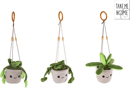 Drie vrolijke, zachtgroene pluche hangplantjes met gezichtjes in grijze potjes, opgehangen aan touwtjes met houten kralen. 'Take me Home' logo.