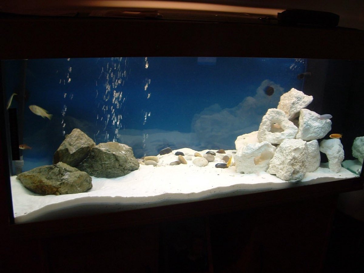 Decoratief Wit Zand 5kg voor Aquaria en Terraria