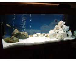 Decoratief Wit Zand 5kg voor Aquaria en Terraria