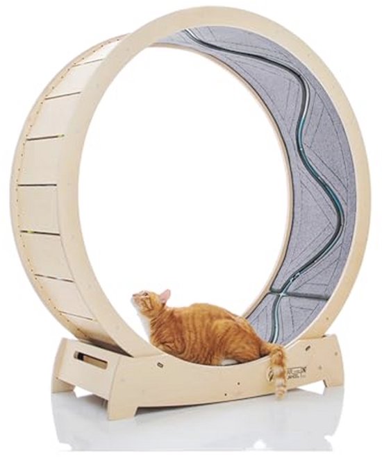 Beste loopmolen voor katten 2026 | Voor Katten