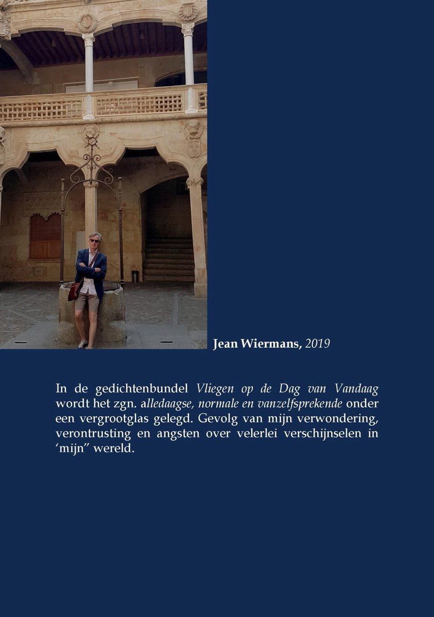 Vliegen - back cover