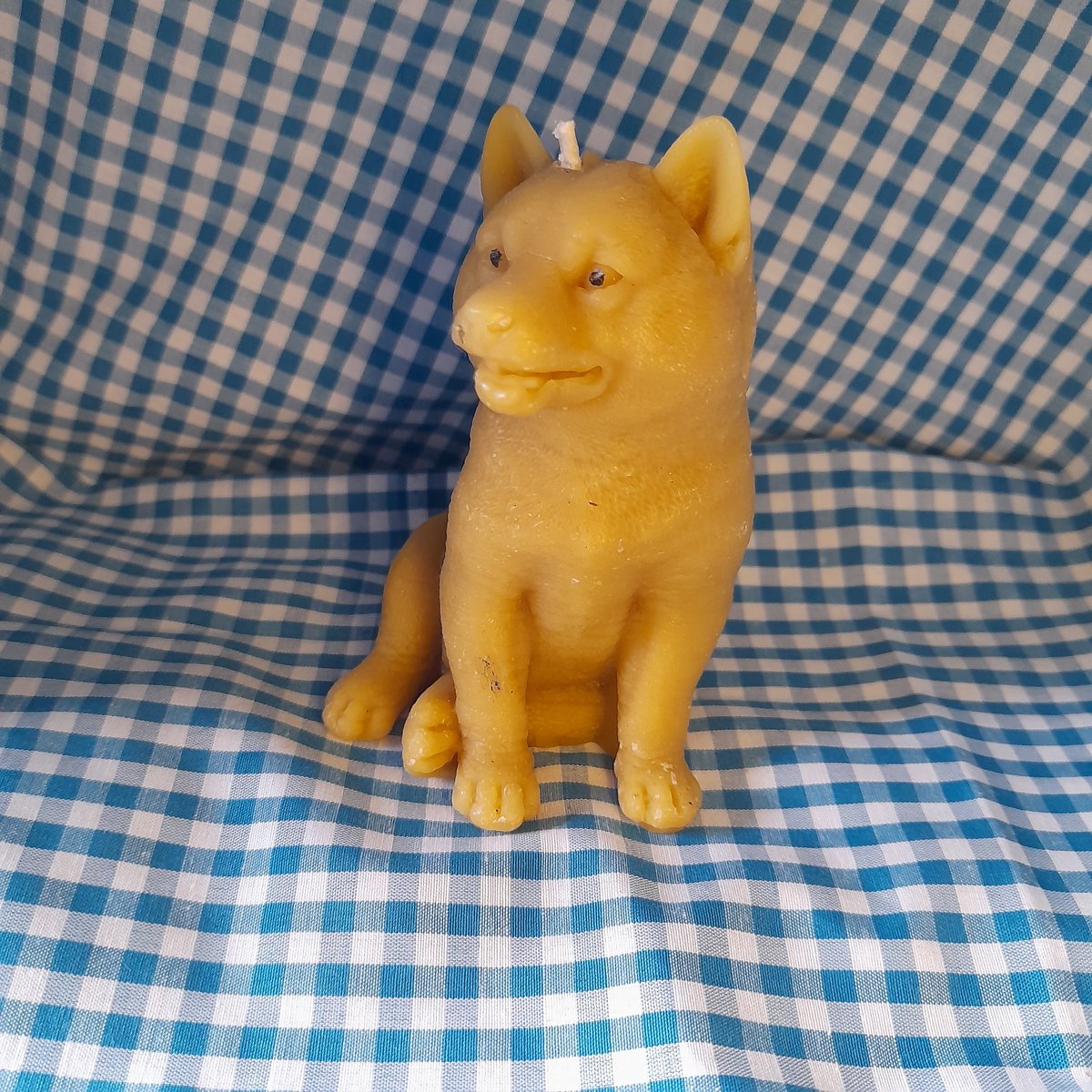 Bijenwas kaars, hond, Akita Inu