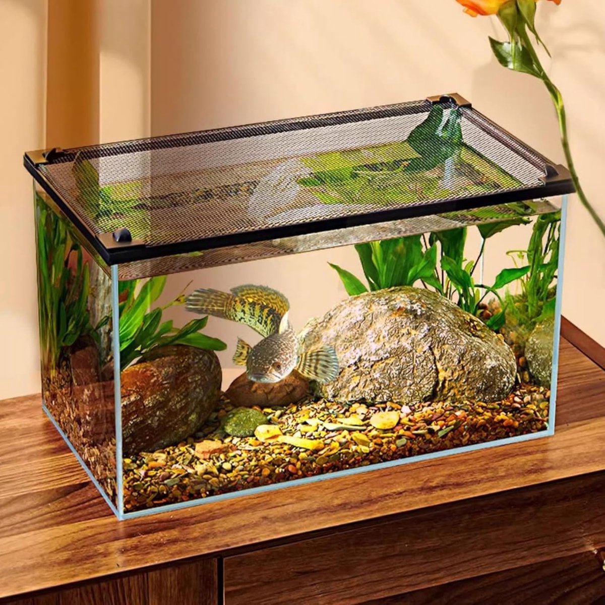 Aquatlantis Splendid 80 Set met gesloten meubel Aquatlantis Splendid 80 Set met gesloten meubel