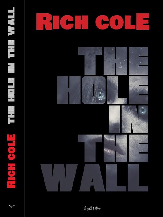 The Hole in the Wall - cover