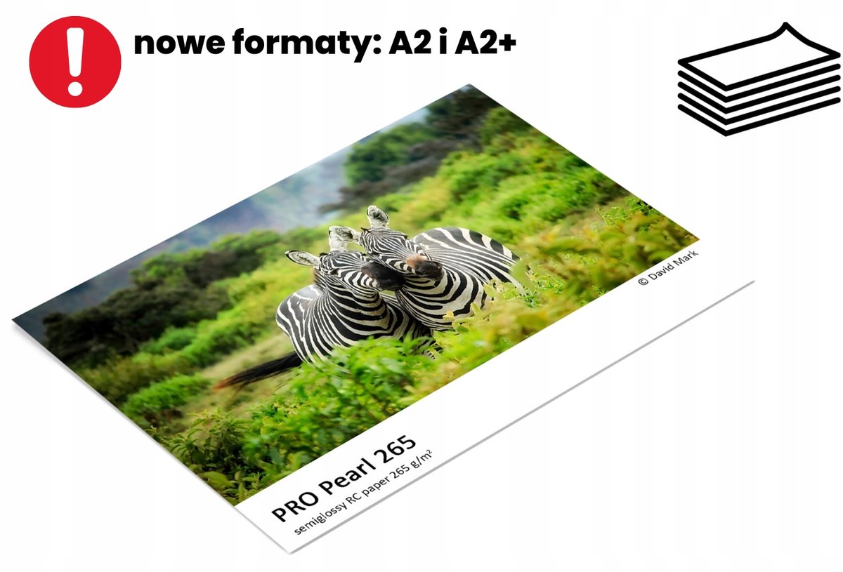 Fomei Pro Pearl Fotopapier A4 265g/m² 100 vel - Parel