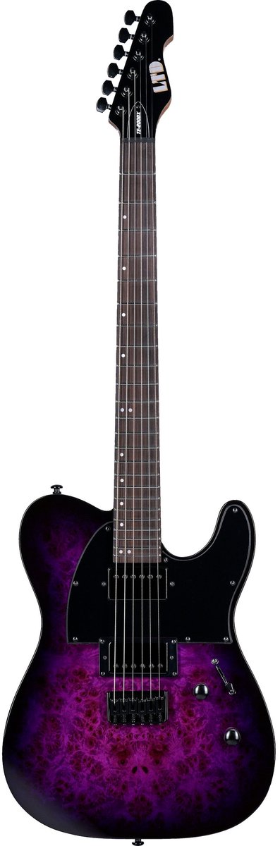ESP LTD TE-200DX Purple Burst elektrische gitaar