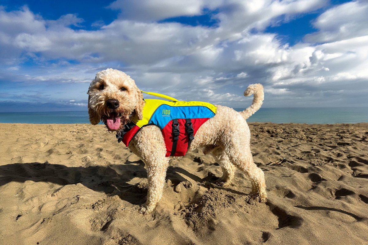 FIDO reddingsvest voor honden
