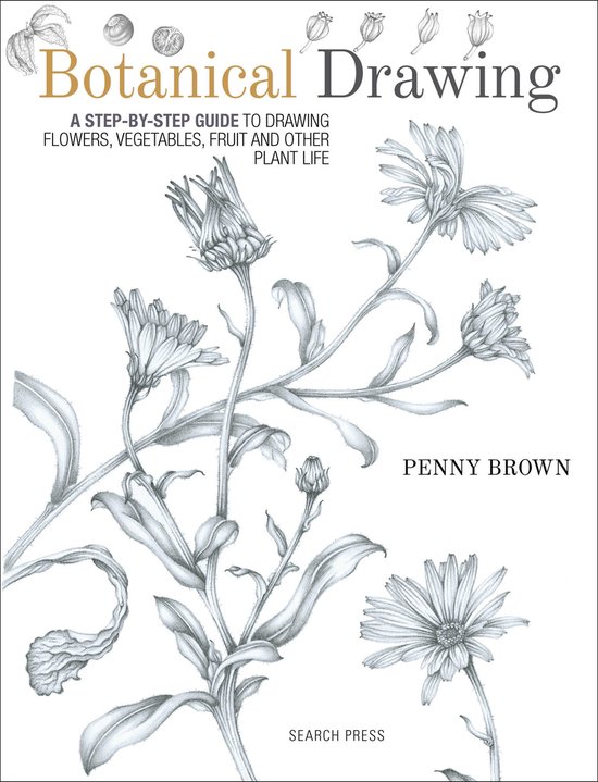 Botanical Drawing - cover