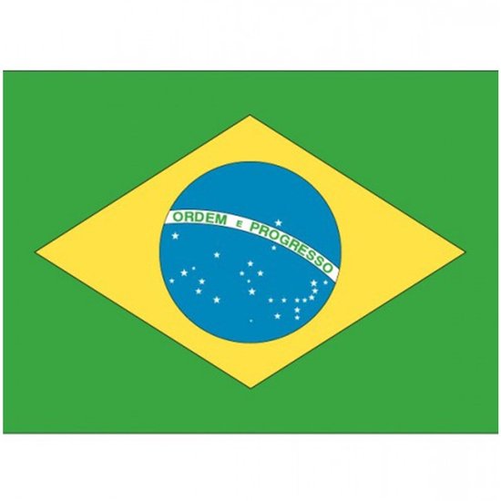Vlag van Brazilie stickers - 7 x 10 cm - Landen - Braziliaanse vlaggetjes - versiering - feestartikelen