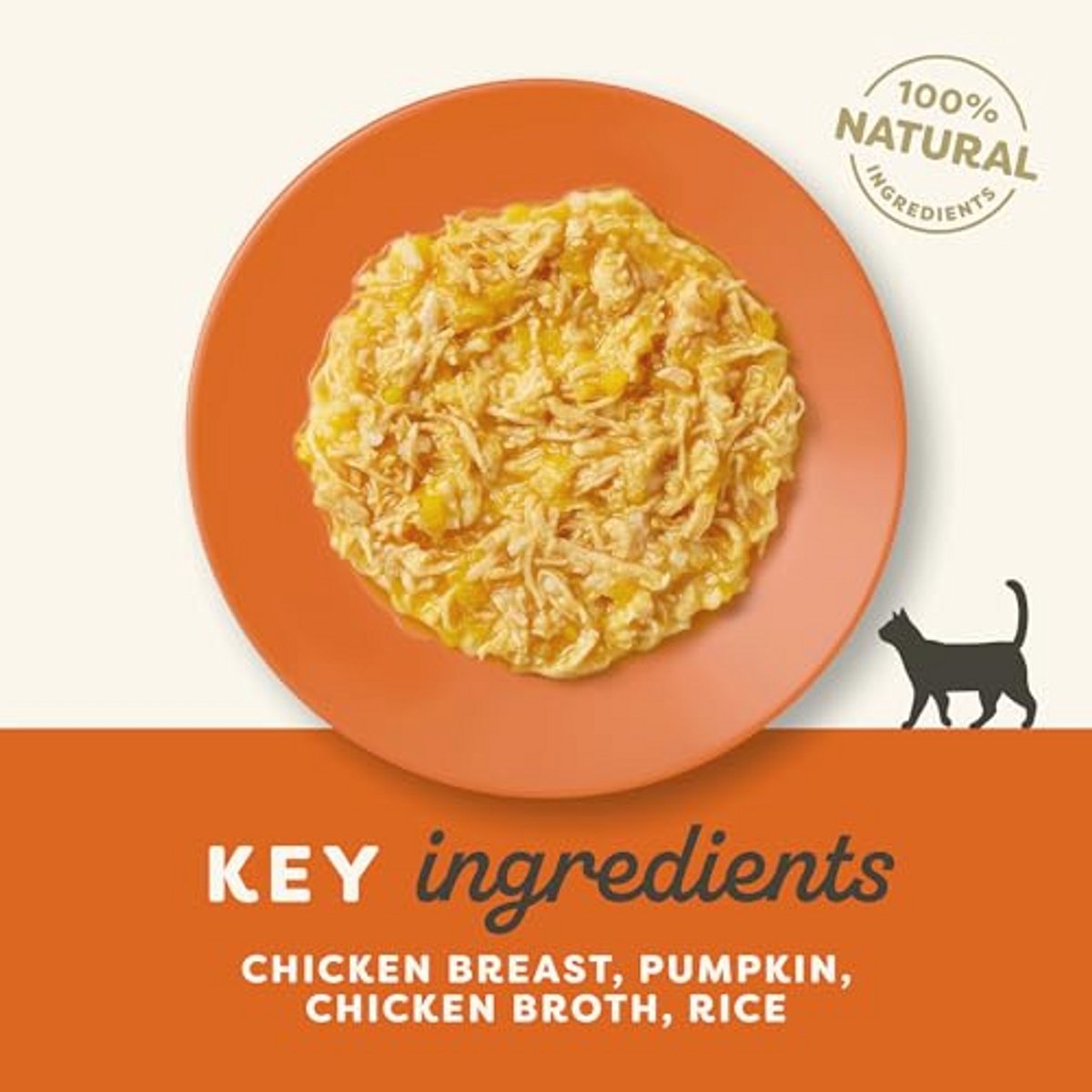 Kip en Pompoen in Blikken voor Katten - 24 x 70g