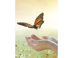 Let Go and Trust