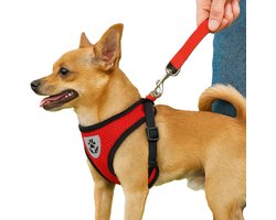 Reflecterend Drukvrij Harnas – Maat S Rood – Borstomtrek 26 – 32 cm – Comfortabel Ademend Mesh Hondentuig met Riem – Veilig, Verstelbaar & Lichtgewicht – Voor Honden en Katten