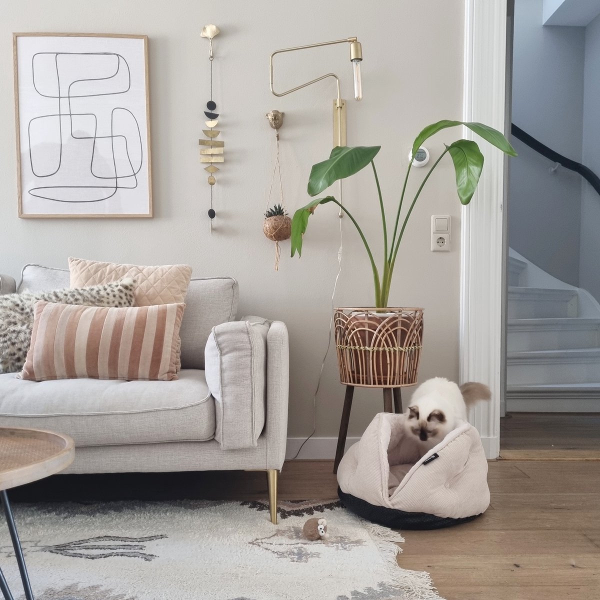 District 70 TUCK - Luxe & Comfortabele mand Kleine Honden - 50x50x30 cm - Terra