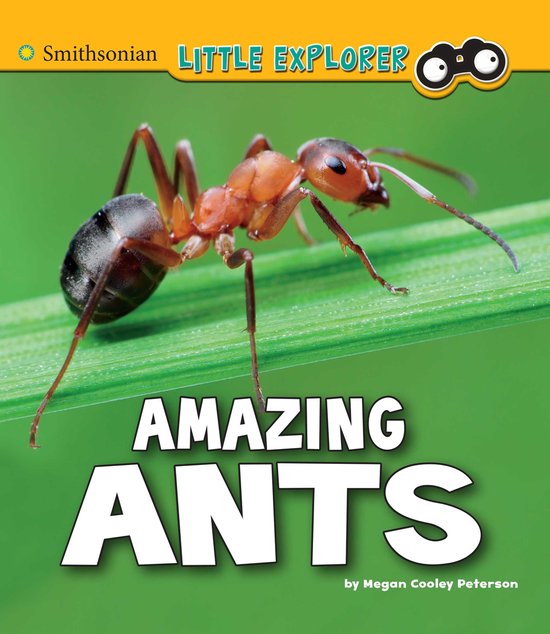 Little Entomologist 4D - Amazing Ants - cover