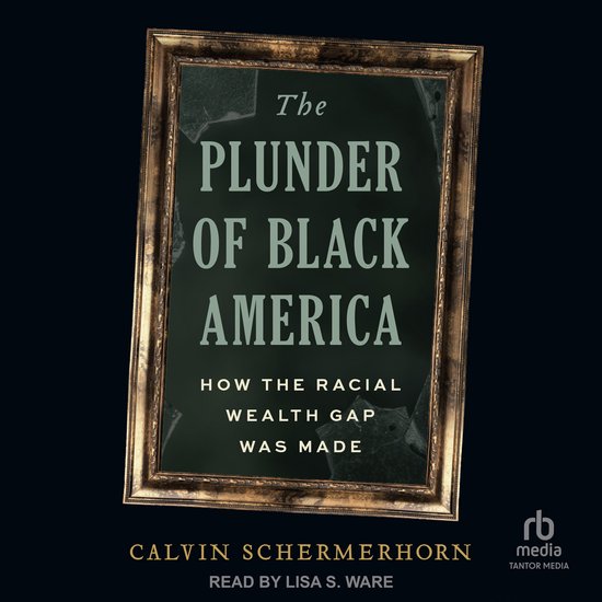 The Plunder of Black America - cover
