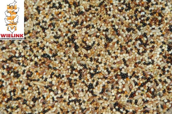 Een close-up van vogelzaad met een mix van verschillende zaden, waaronder witte, bruine en zwarte zaden. Links staat het Wielink logo.
