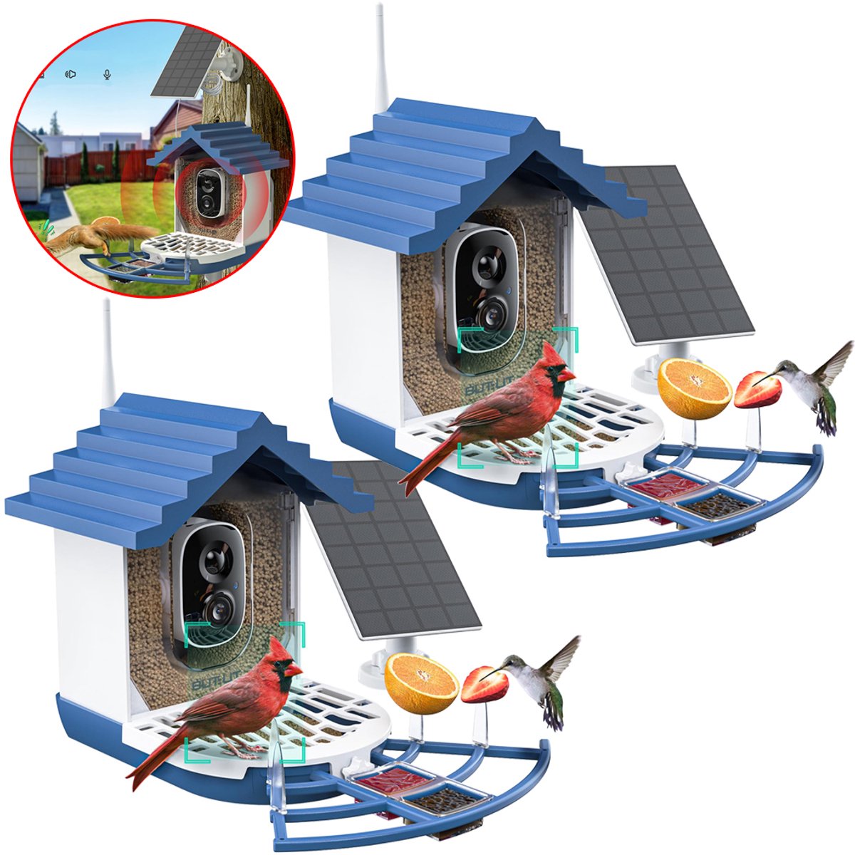 Vogelhuisje met Camera – Live Vogels Spotten via je Smartphone - Slim Vogelvoederhuisje met AI‑Herkenning – 2K FULL HD & Kleur‑Nachtzicht – Zonnepaneel & Draadloos – Cadeau voor Natuurliefhebbers - 2 stuks