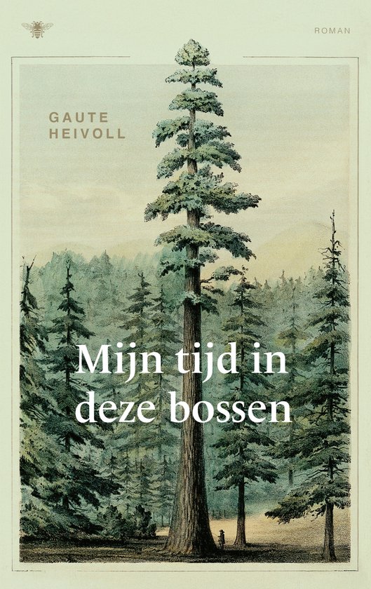 Mijn tijd in deze bossen - cover