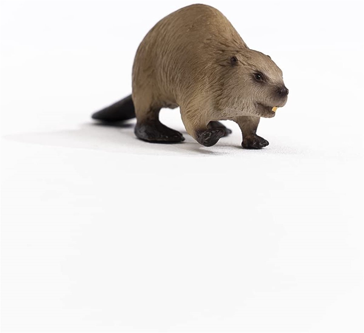 schleich WILD LIFE - Bever - 14855 — afbeelding 2