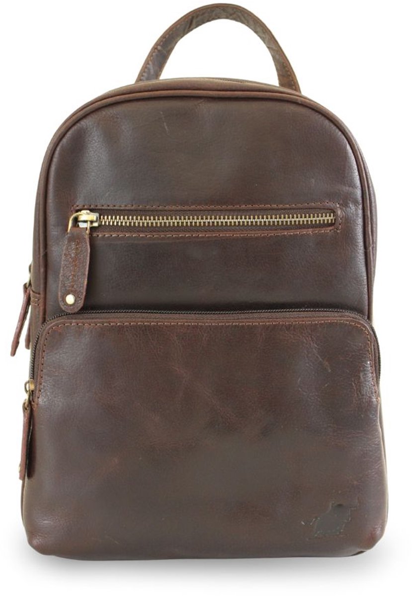 Fana Bags Kleine Dames Rugzak Donkerbruin - Echt Leer - Stadsrugzak Klein - Veel Vakken Rugtas - Cadeau Vrouwen