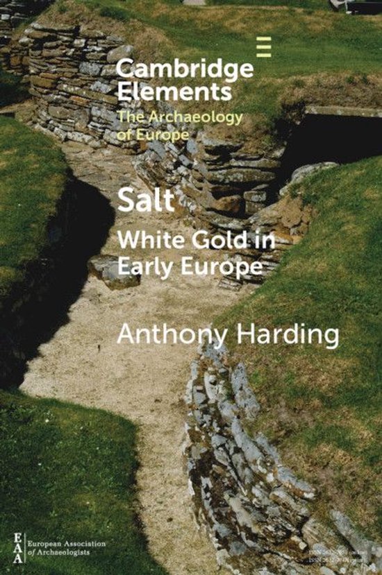 Elements in the Archaeology of Europe - Salt - cover