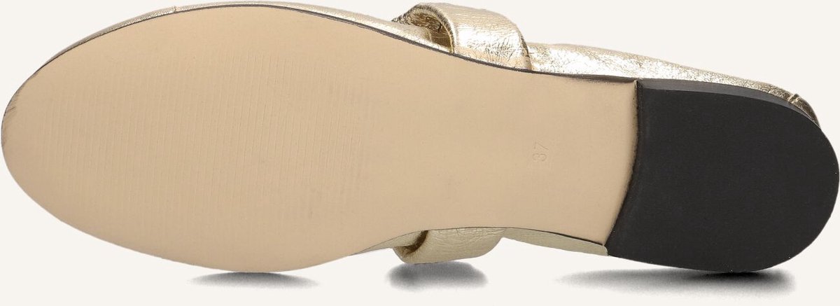 BLASZ 17600118 Ballerina's Dames - Goud - Maat 40