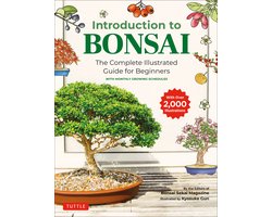 Introduction to Bonsai