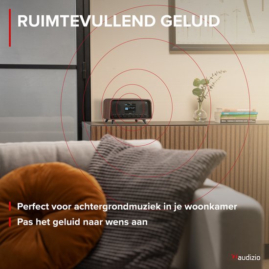 Audizio Foggia Radio DAB+ E FM – Retro, Bluetooth, Sveglia, Batteria 4xC, Potenza 50W, Grigio