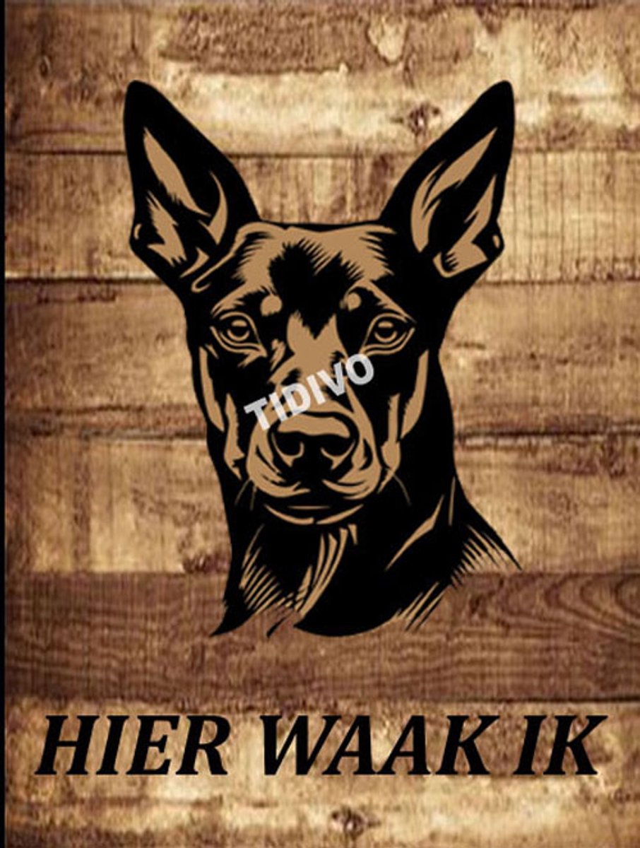 Duitse Pinscher 20