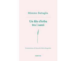 Un filo d’erba tra i sassi