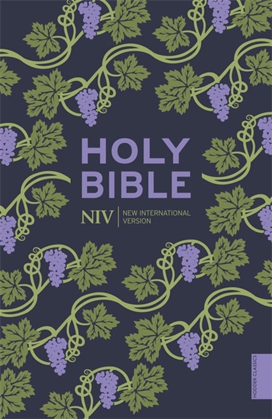 NIV Holy Bible - cover