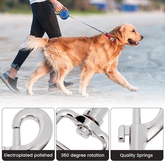 Gouden retriever loopt aan een riem aan het strand, met afbeeldingen van de karabijnhaak.