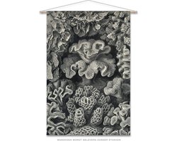 Wanddoek-XL Ernst Haeckel - Koraal (zonder houten stokken)