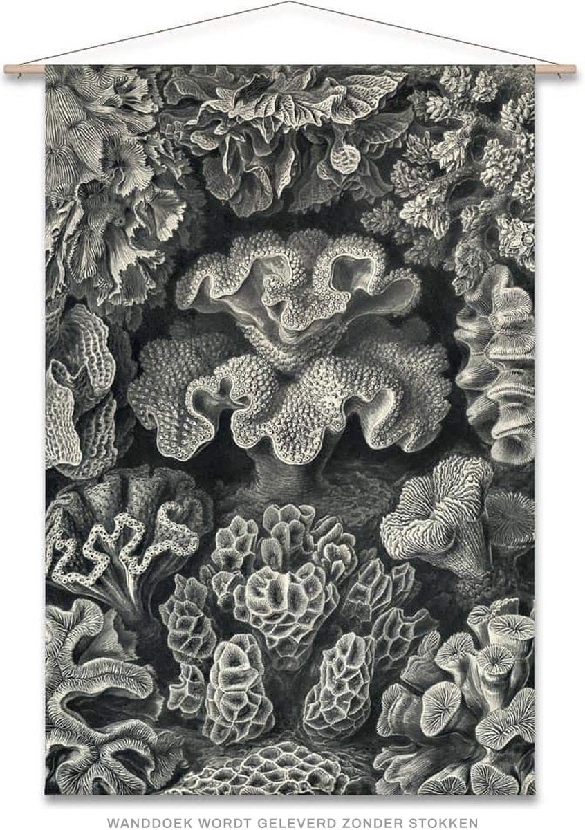 Naturalis Unlimited Wanddoek-XL Ernst Haeckel - Koraal (zonder houten stokken) wit