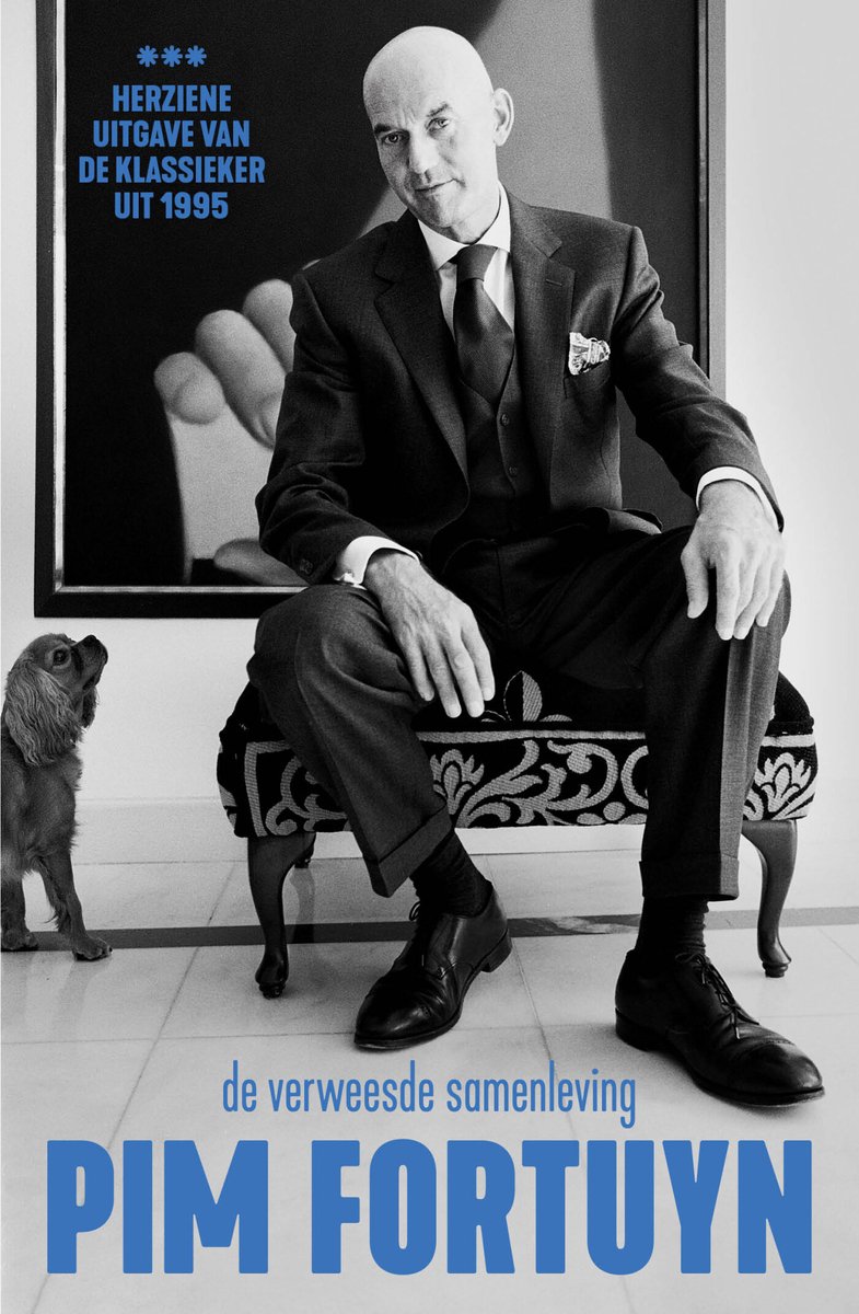 Omslag van De verweesde samenleving