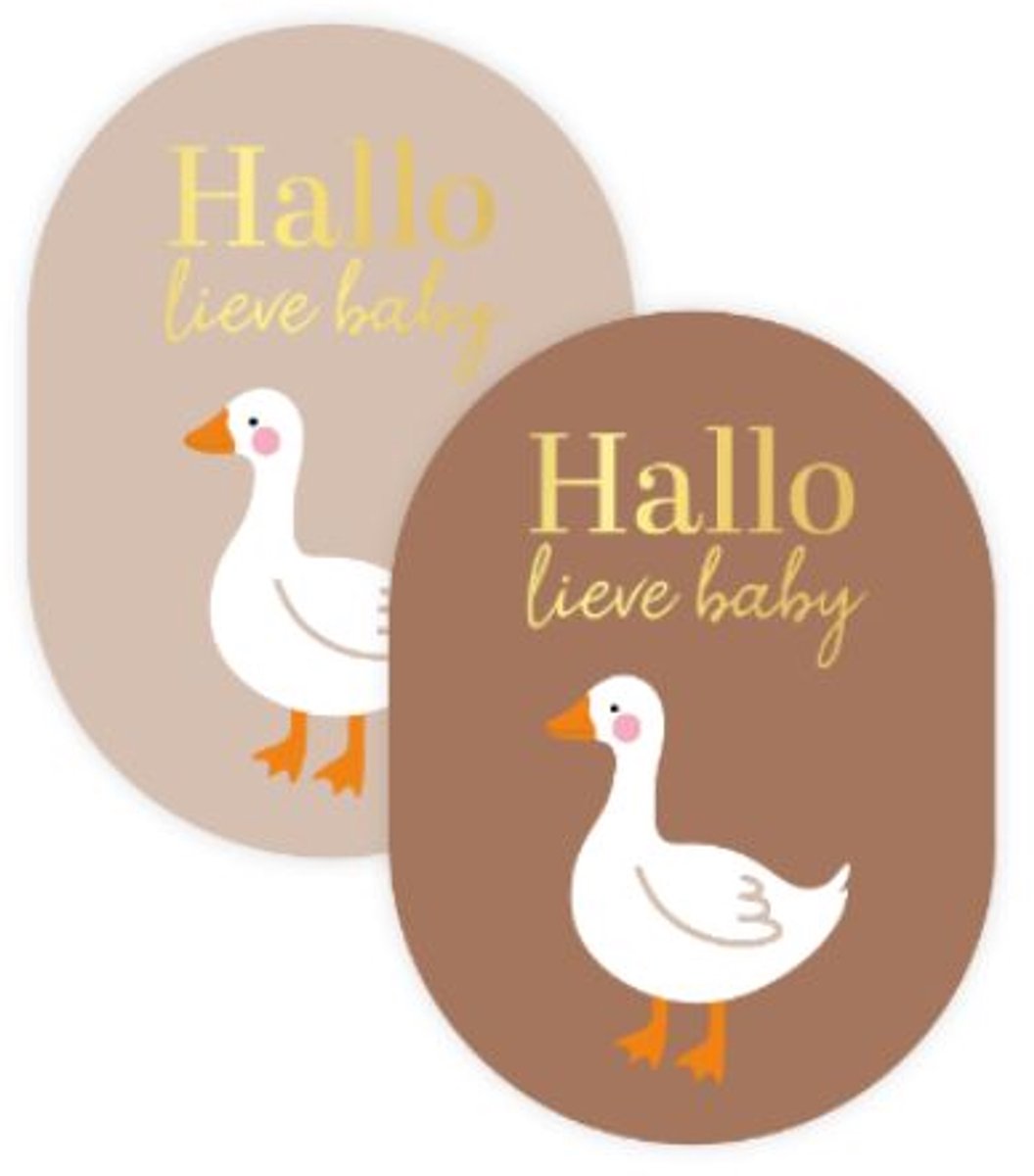 Hallo lieve baby met gansje - KP® Stickers 43x59mm