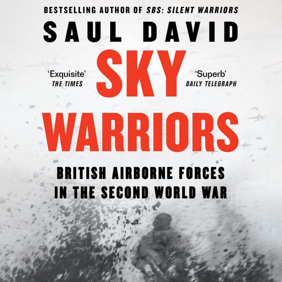 Sky Warriors - cover