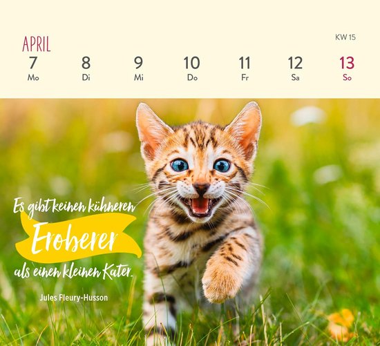Schilderen op nummer | kalender 2026 cocktail party