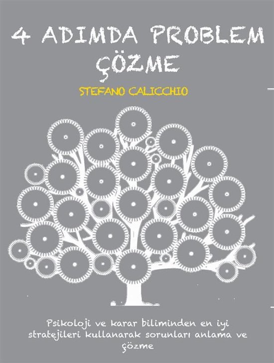 4 adımda problem çözme - cover