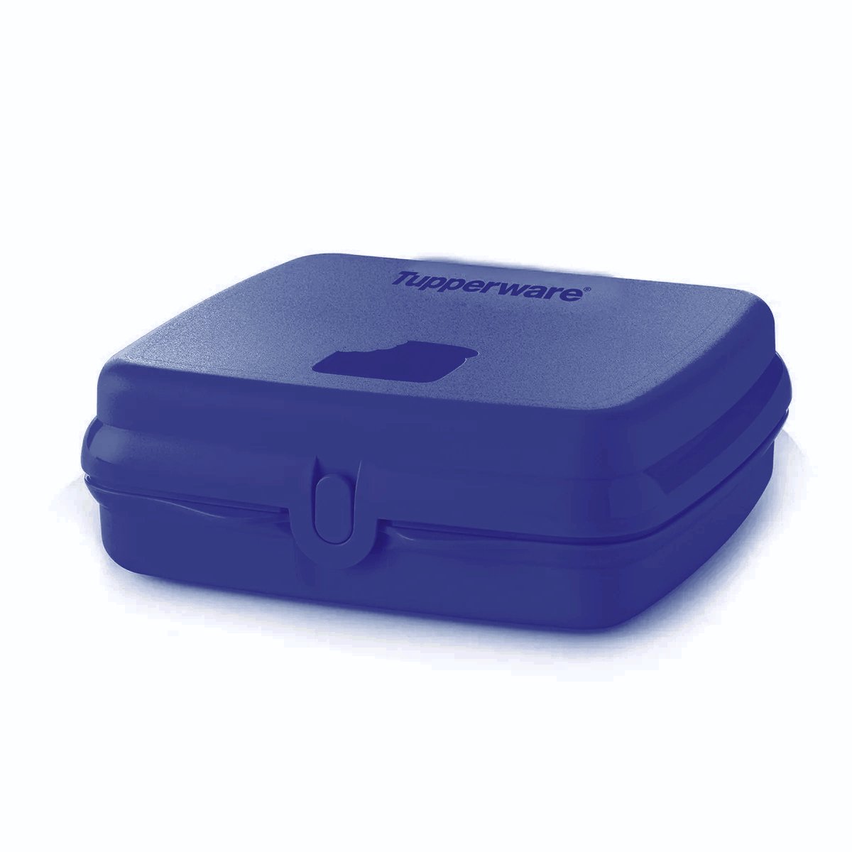 Tupperware Sandwich Box Opbergdoos Lunchbox Vierkant met Scharnier en Slot (Blauw)