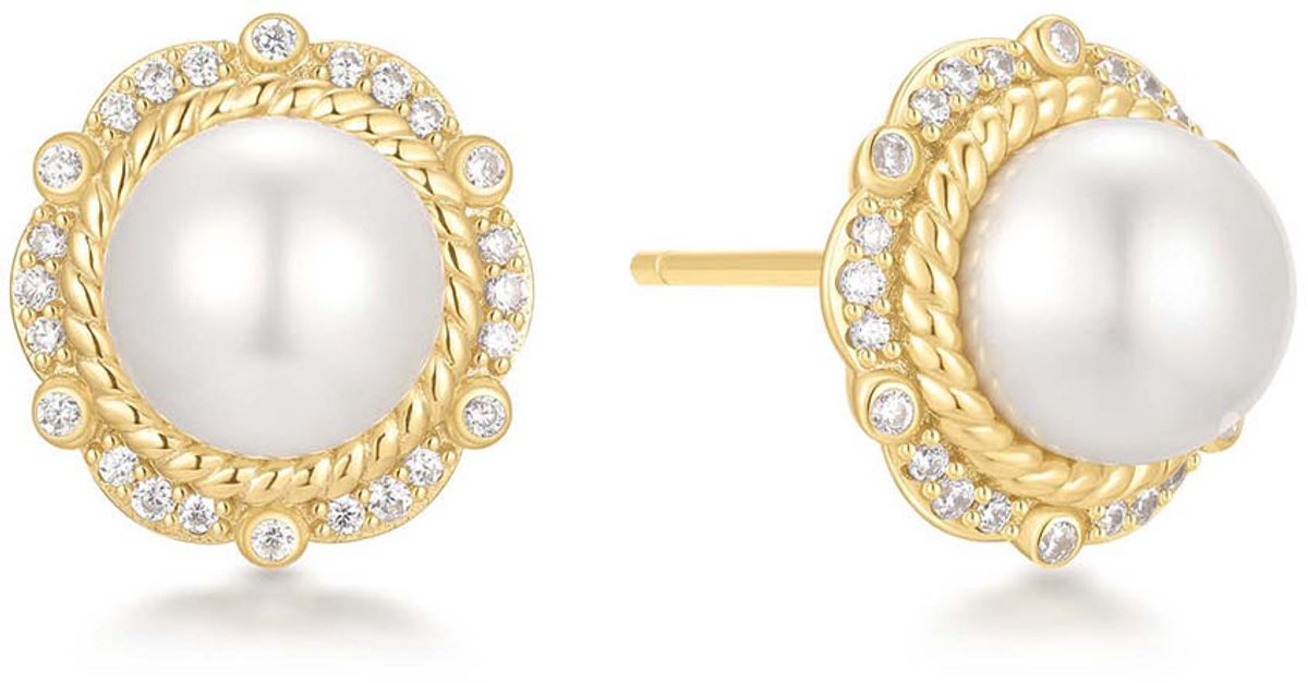 Ania Haie AH E069-06G Reimaginer Dames Oorbellen - Oorknopjes