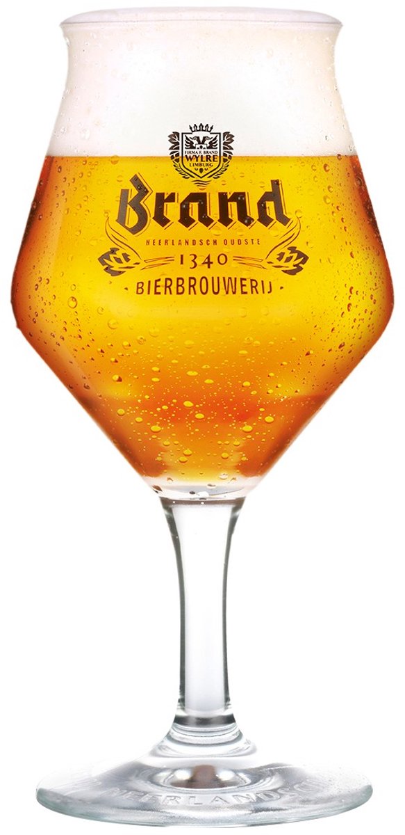 Brand Bierglas Bovengister 25cl Doos 2 Stuks