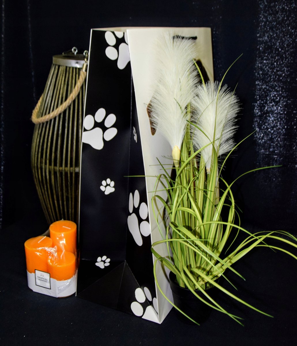 Luxe Cadeautas 56x40x20cm - 4 Ontwerpen