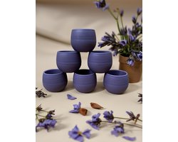 6st ronde cactus bloempotten paars 10cm met drainage UV-bestendige stekpotjes