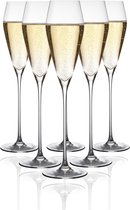 Mémoire® Flûte Diamante Champagneglazen 6 stuks - Grote Handgeblazen Luxe Kristallen Champagneglazen- Stijlvolle Flûtes met Elegant Design en Fijne Rand - Kristalhelder, Duurzaam & Vaatwasser bestendig - Perfect voor Bruiloften & als Cadeau
