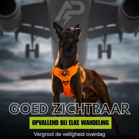 Oranje tuig met een grote hond ervoor, met een vliegtuig op de achtergrond. "GOED ZICHTBAAR".