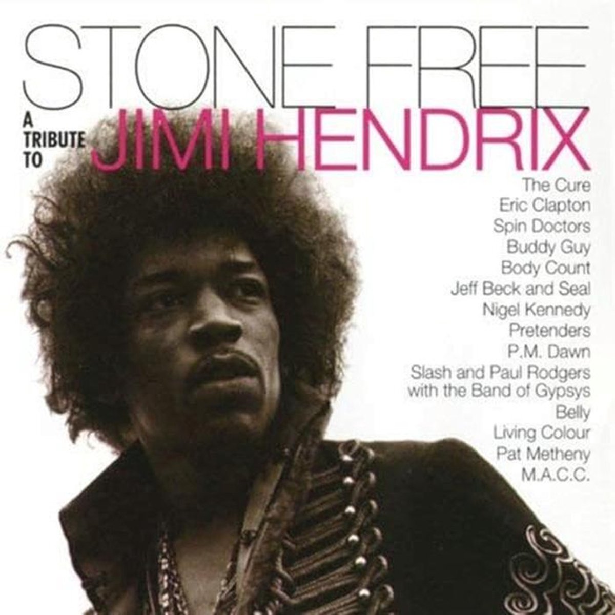 Tribute CD aan Jimi Hendrix - Muziek voor Liefhebbers van Rock